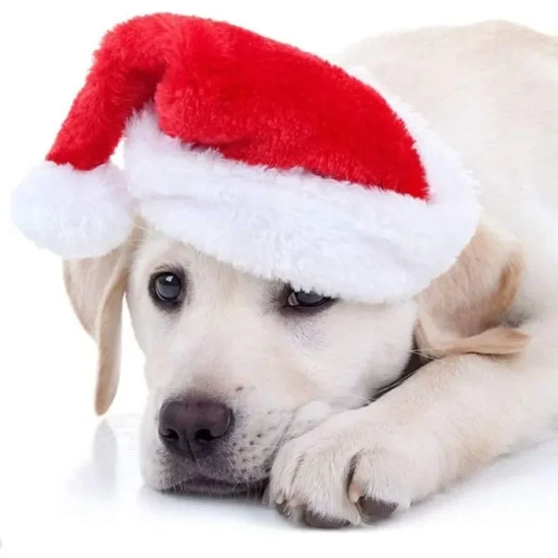 クリスマスペットサンタ帽子 赤いぬいぐるみ ソフトホリデーキ - Santa Hat Plush のレビューと価格