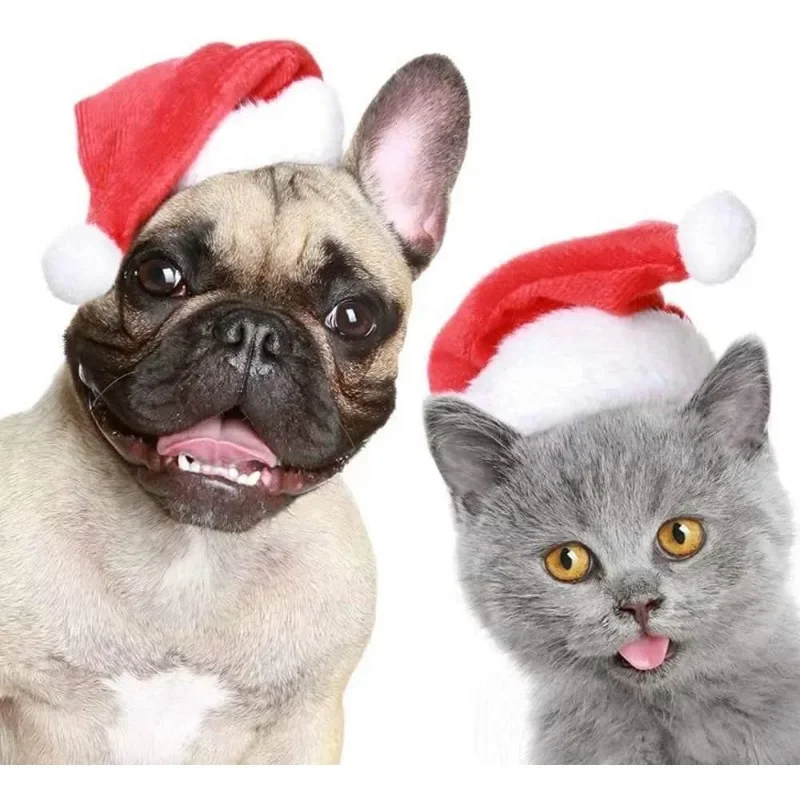 クリスマスペットサンタ帽子 赤いぬいぐるみ ソフトホリデーキ - Santa Hat Plush のレビューと価格